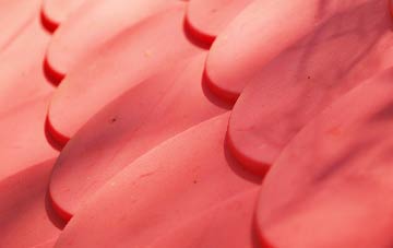 The Common plastic roof costs