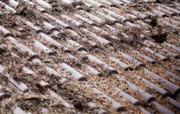 The Common roof cleaning companies