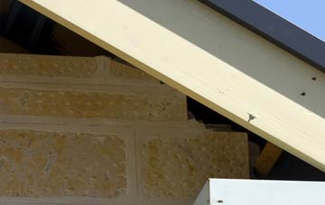 soffit repair The Common
